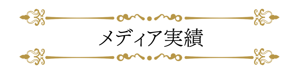 メディア実績
